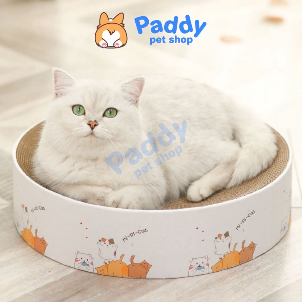 Bàn Cào Móng Giấy Ổ Nằm Tròn Cho Mèo