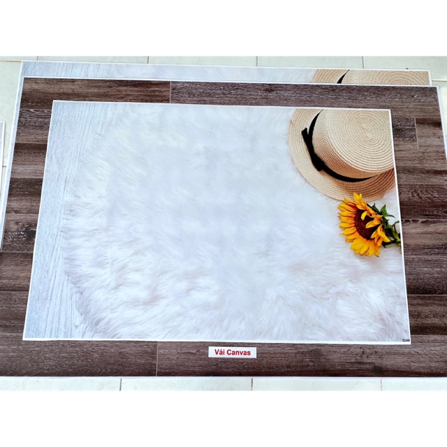 Thảm 3D mẫu lông in sẵn