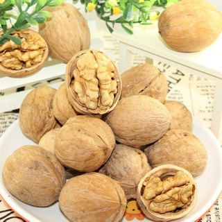 Óc chó nhập