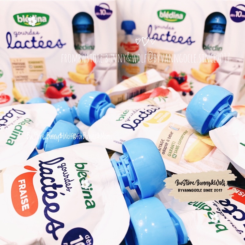 Sữa Chua Hoa Quả Bledina Gourdes Lactees Pháp cho bé từ 10m+ - Túi 85g