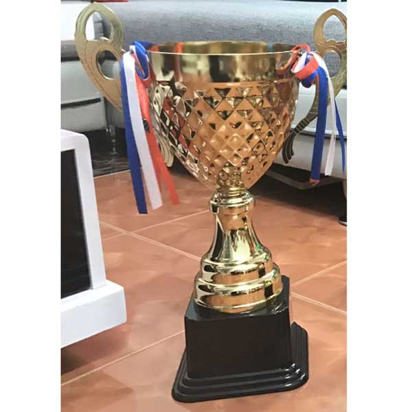 Cúp thể thao,cúp lưu niệm ,cúp đẹp,bền,họa tiết sắc sảo  và giá rẻ-hàng phân phối chính hãng