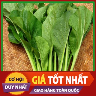 Hạt giống Cải Ngọt - rau ăn lá ngắn ngày