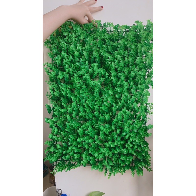 cỏ tai chuột trang trí cao cấp