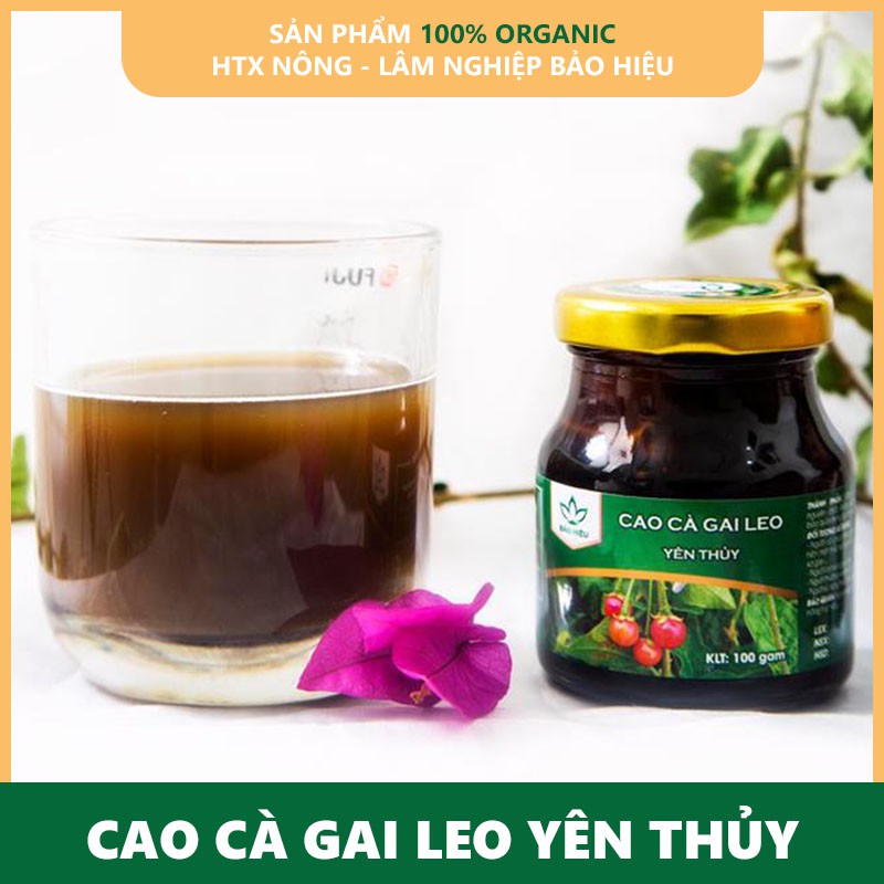 Giải độc gan, Giải rượu Cao Cà gai leo Yên Thủy 100g | BigBuy360 - bigbuy360.vn