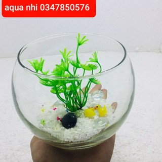 Bể cá tròn mini để bàn.Tặng thêm phụ kiên.