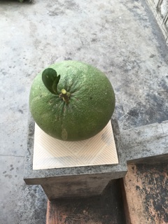 Bưởi da xanh ruột đỏ