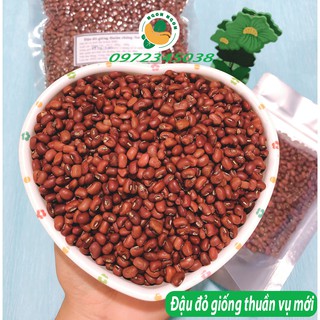 Đậu đỏ (hạt nhỏ) giống thuần tự nhiên vụ mới