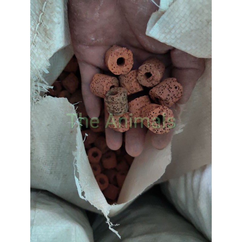 Viên sứ đỏ lọc nước cho hồ cá - Lọc tràn- Vật liệu lọc