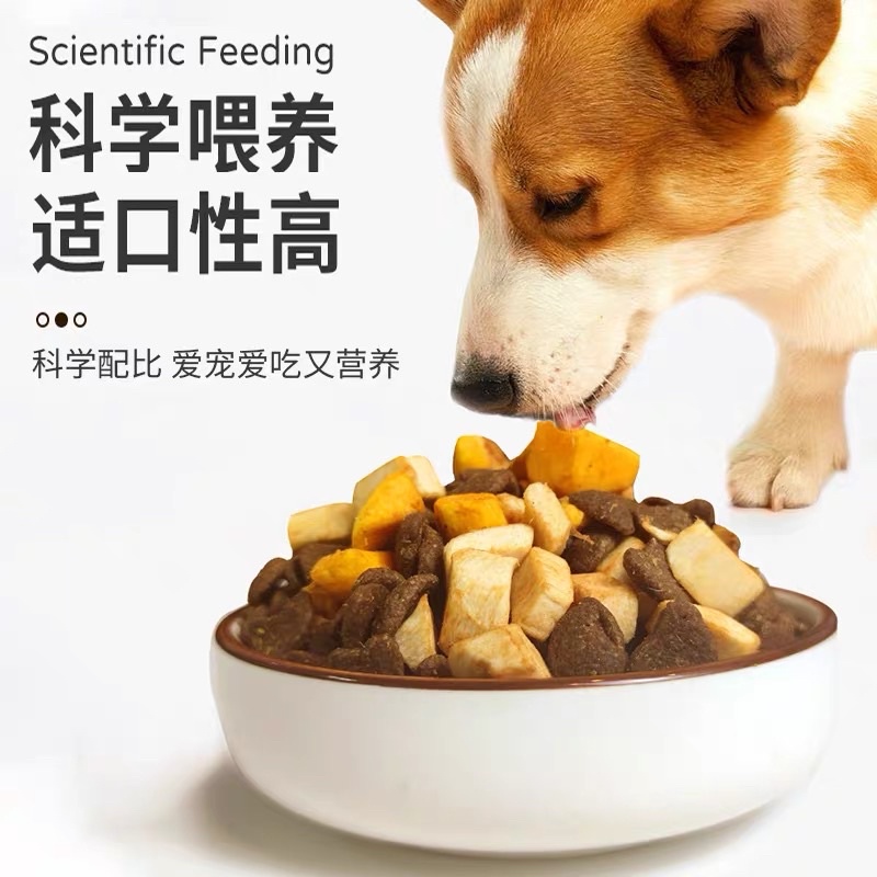 Hạt cho chó Advanture Hạt mix 5 loại thịt sấy khô dinh dưỡng cho chó tăng cân AD03