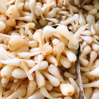 CỦ KIỆU NGÂM NGÀY TẾT (600g)