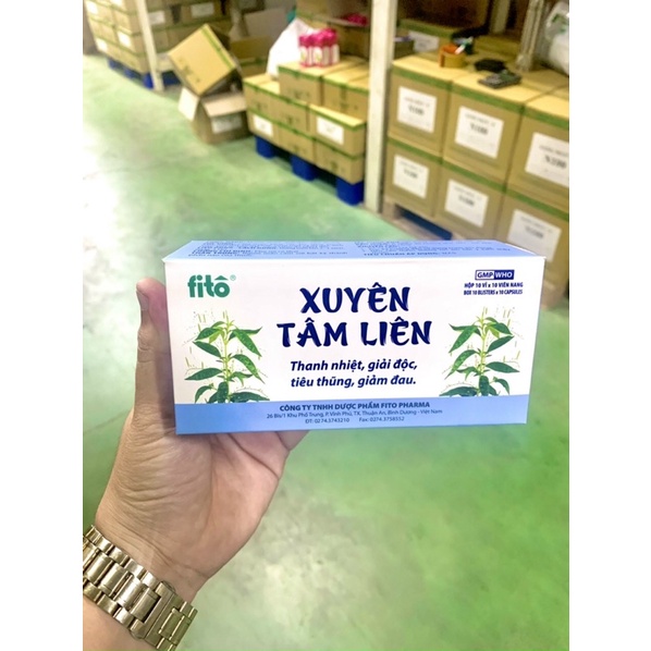 XUYÊN TÂM LIÊN - Thanh Nhiệt, Giải Độc, Tiêu Thũng, Giảm Đau. Hộp 100 viên