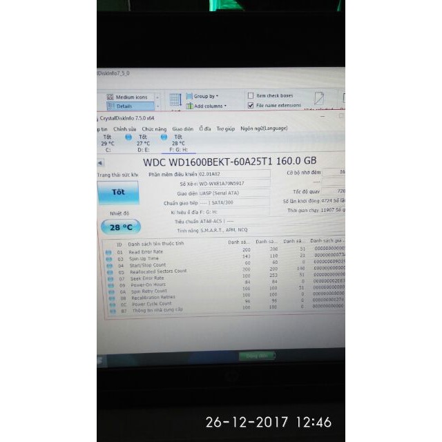 HDD laptop cũ 160gb western Digital tốc độ 7200v/p