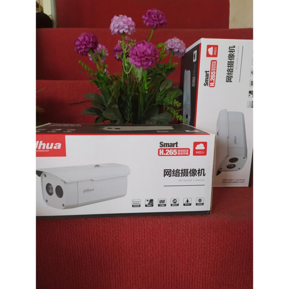 Camera IP Dahua 2MP DH-IPC-X12-B-V2(POE)