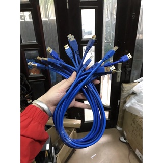 Combo 2 cáp USB 2 đầu đực dùng up rom hoặc thay cáp riser USB