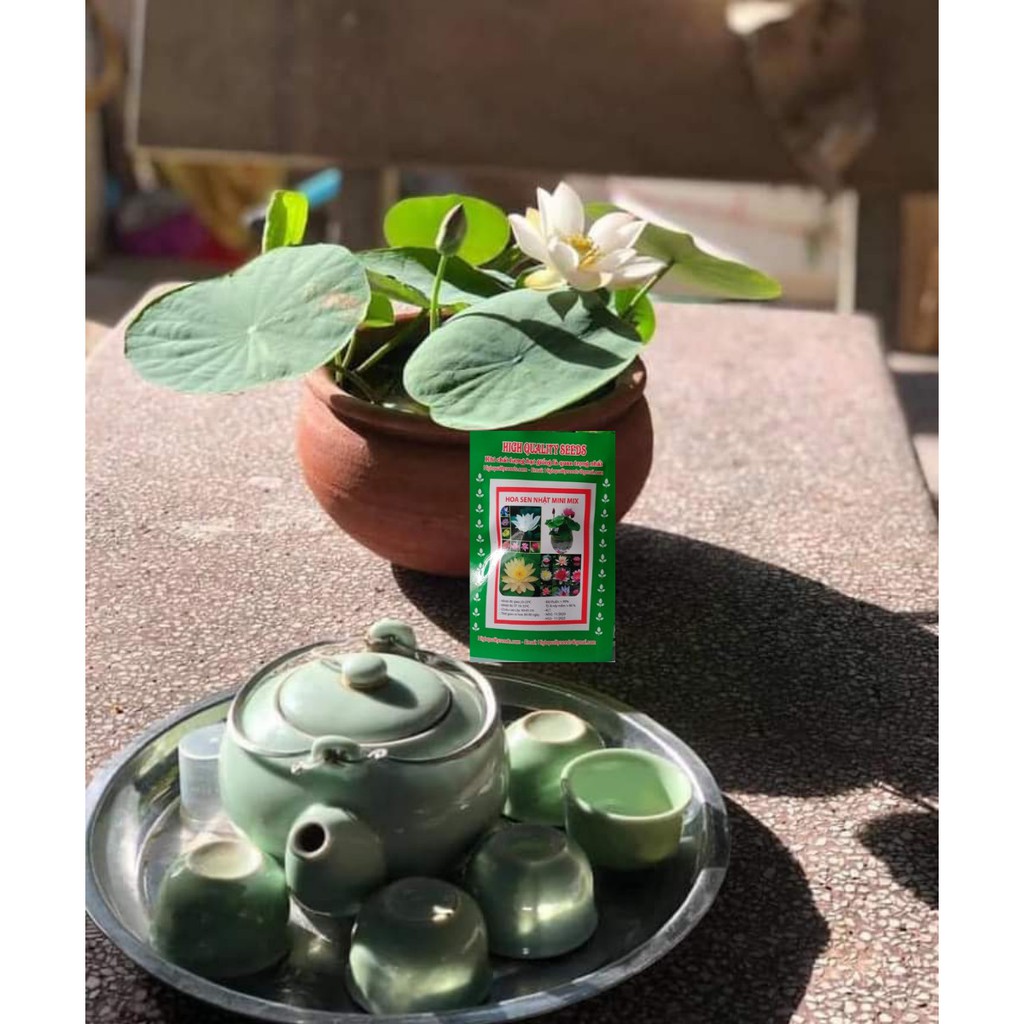 Bùn Khô Trồng Sen-Súng Mini Gói 500 Gram / Gói