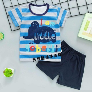 Bộ cộc tay xuất hàn voi kẻ xanh