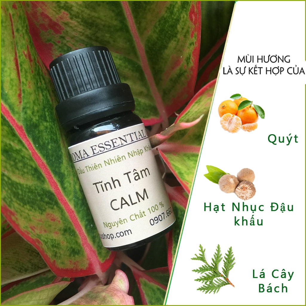 Tinh dầu thiên nhiên Tĩnh Tâm