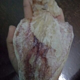 21 con khô mực ngon