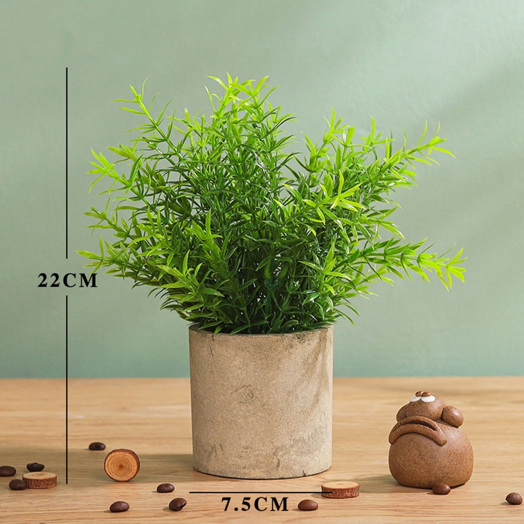 Bộ Chậu Cây Giả Bằng Pvc Thân Thiện Với Môi Trường Để Bàn/ Trang Trí Ban Công