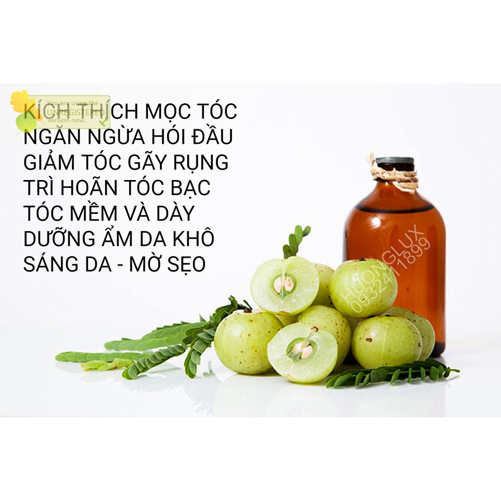 Organic dầu Amla oil kích mọc và chống lão hóa tóc (Indian Gooseberry) | BigBuy360 - bigbuy360.vn