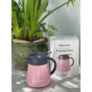Ấm giữ nhiệt Thermal Pot 800ml- Tupperware