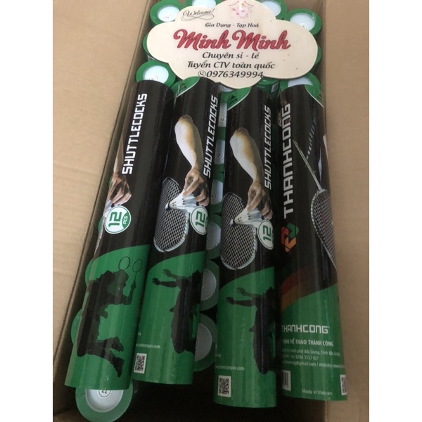 Cầu trong nhà Thành Công 77