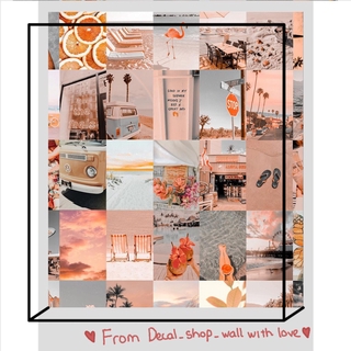 12 tấm Wall Collage  keo sẵng lột dán - theme Cam hoa đậu biếc