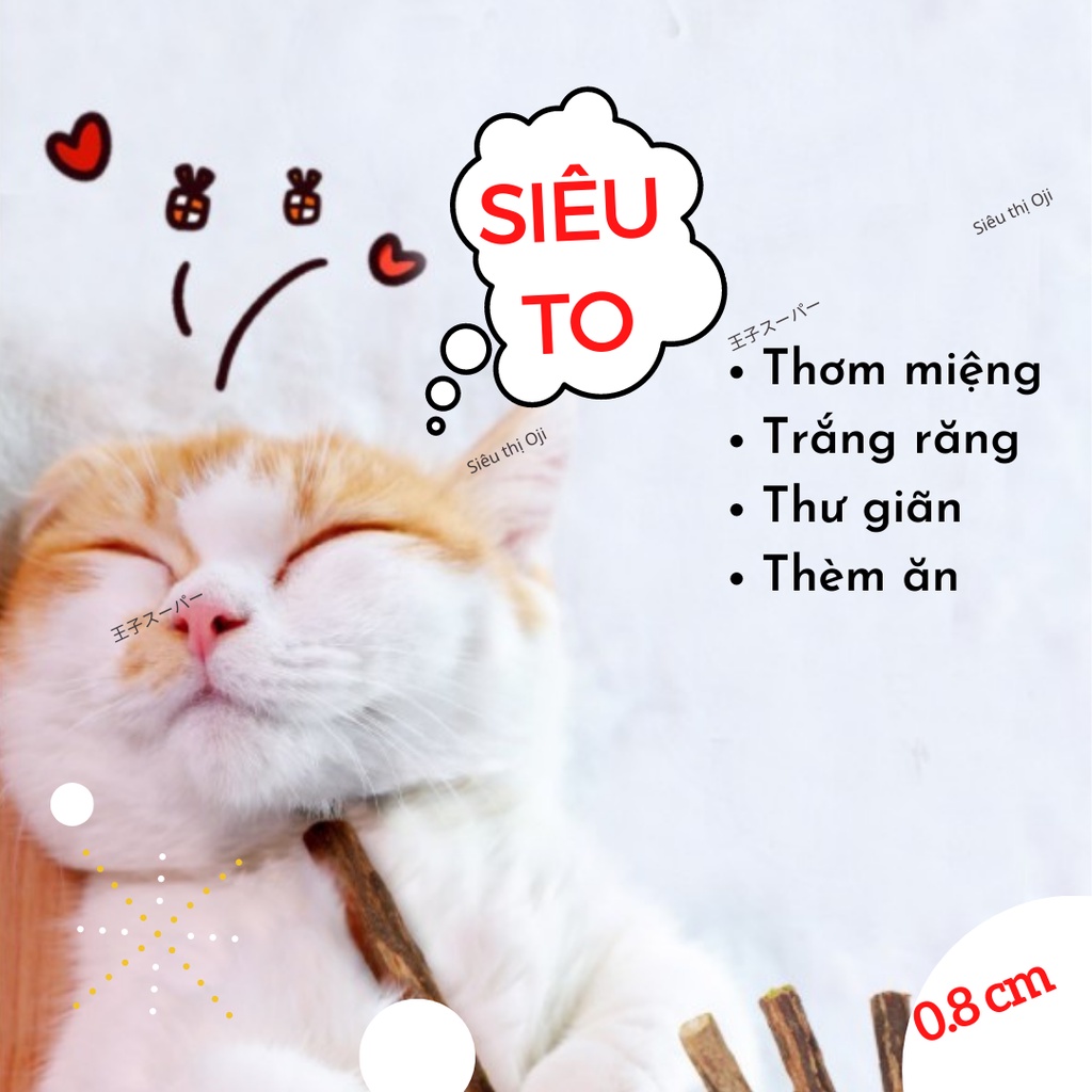 [SIÊU TO] Cỏ Mèo Catnip, NGUYÊN CÂY, Sạch Răng Thơm Miệng