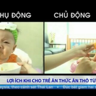 Túi nhai ăn dặm