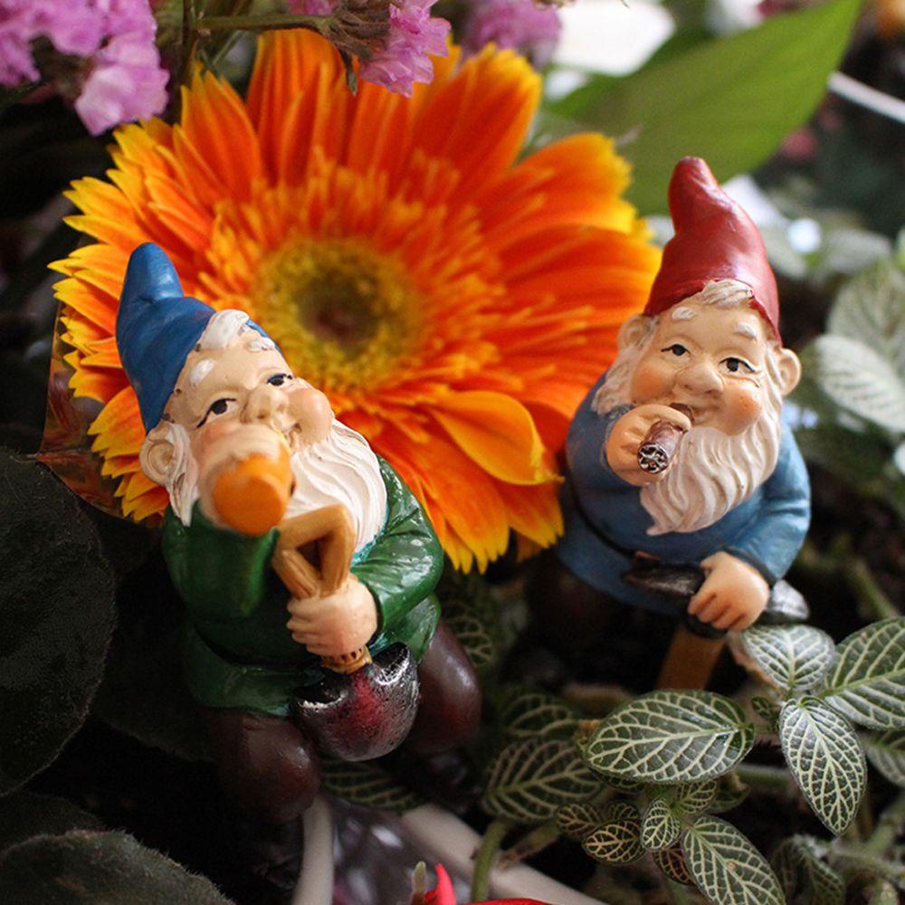 WTTLE Wttle Dwarf Hoa|Yêu Tinh Leo Sáng Tạo Trang Trí Sân Vườn