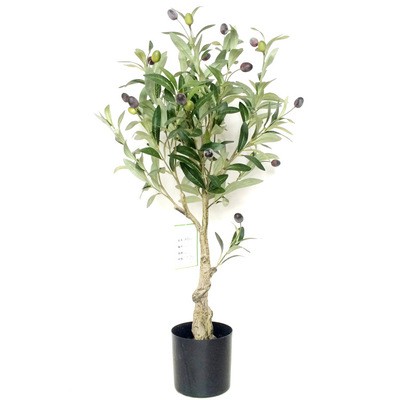 Cây oliu-cây olive giả cao 85cm