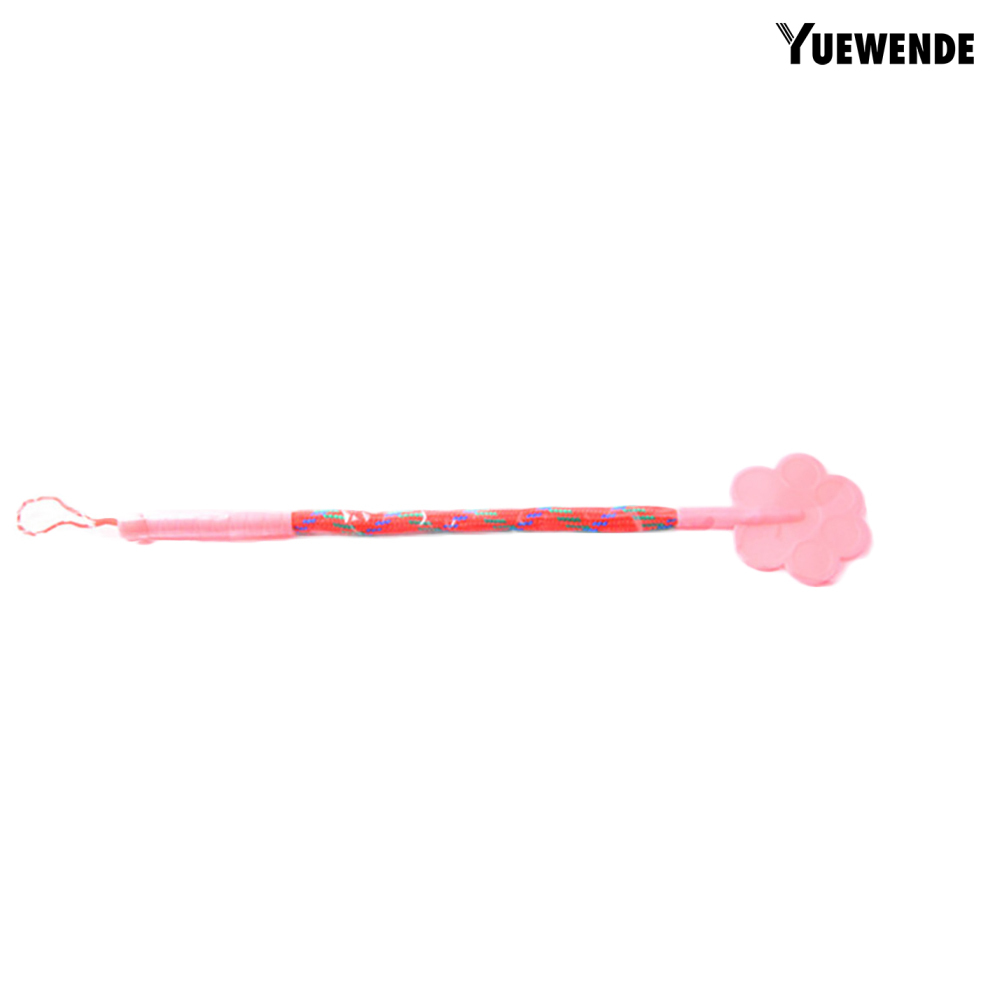 Gậy Huấn Luyện Thú Cưng Nhiều Màu Sắc 43cm