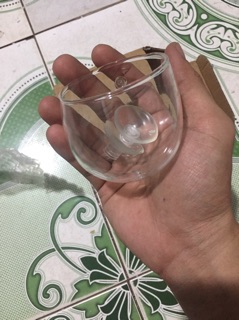 Cốc trồng cây thuỷ sinh