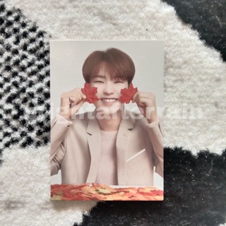 Bộ thẻ bài trò chơi hoshi maple độc đáo thú vị