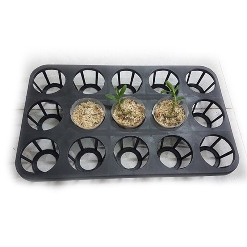 Combo 10 Khay 12-15 lỗ chuyên dùng đựng lan