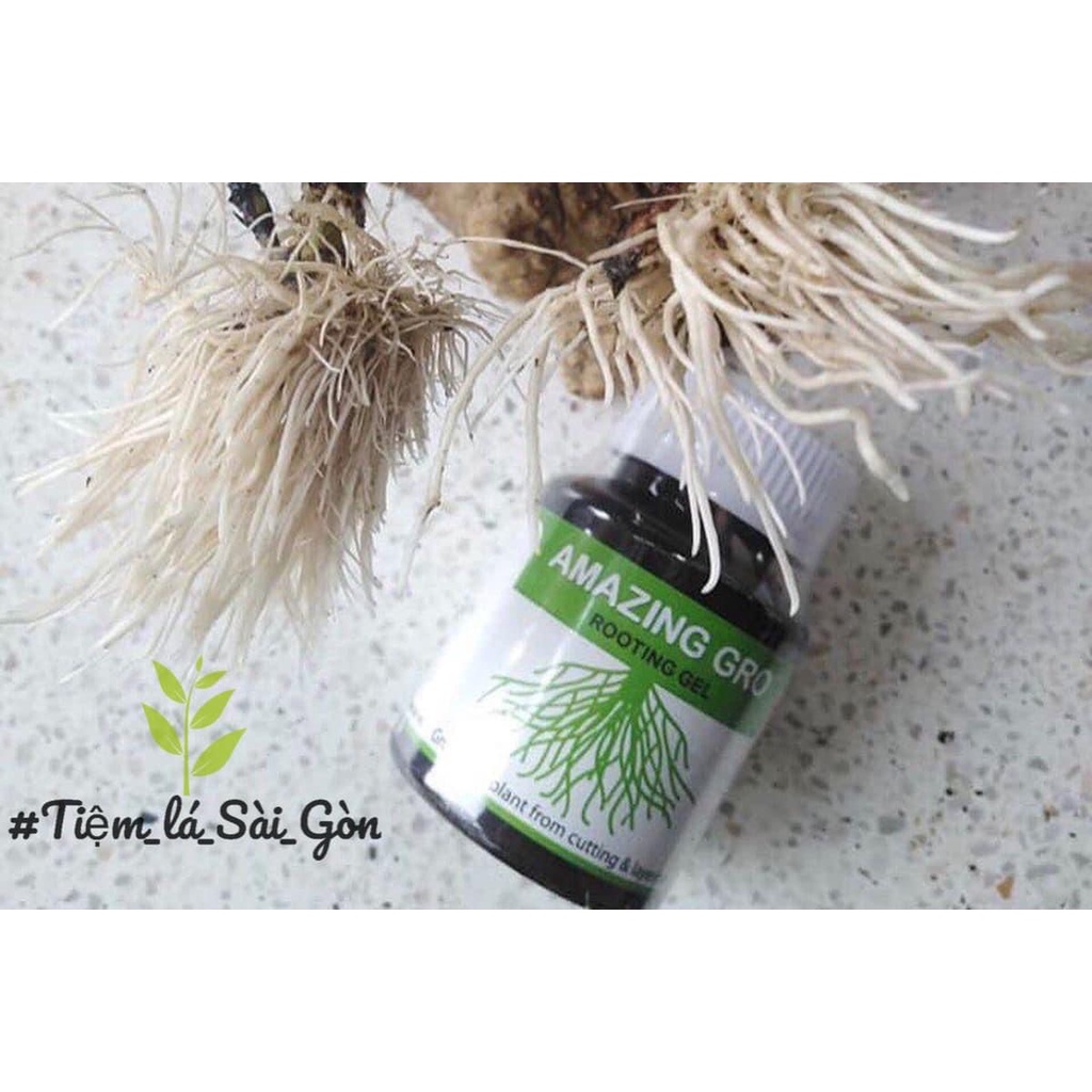 Rễ trắng ting Gel Kích Rễ Siêu Nhanh Amazing Gro Thailand - 60ml
