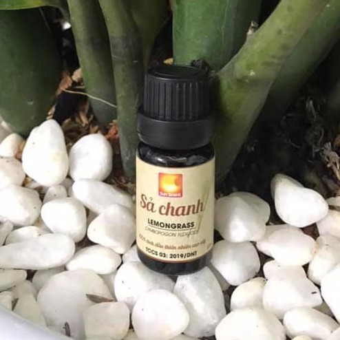 Tinh dầu Sả Chanh THƯ GIÃN lemongrass - Full test GCMS - Chất lượng cao