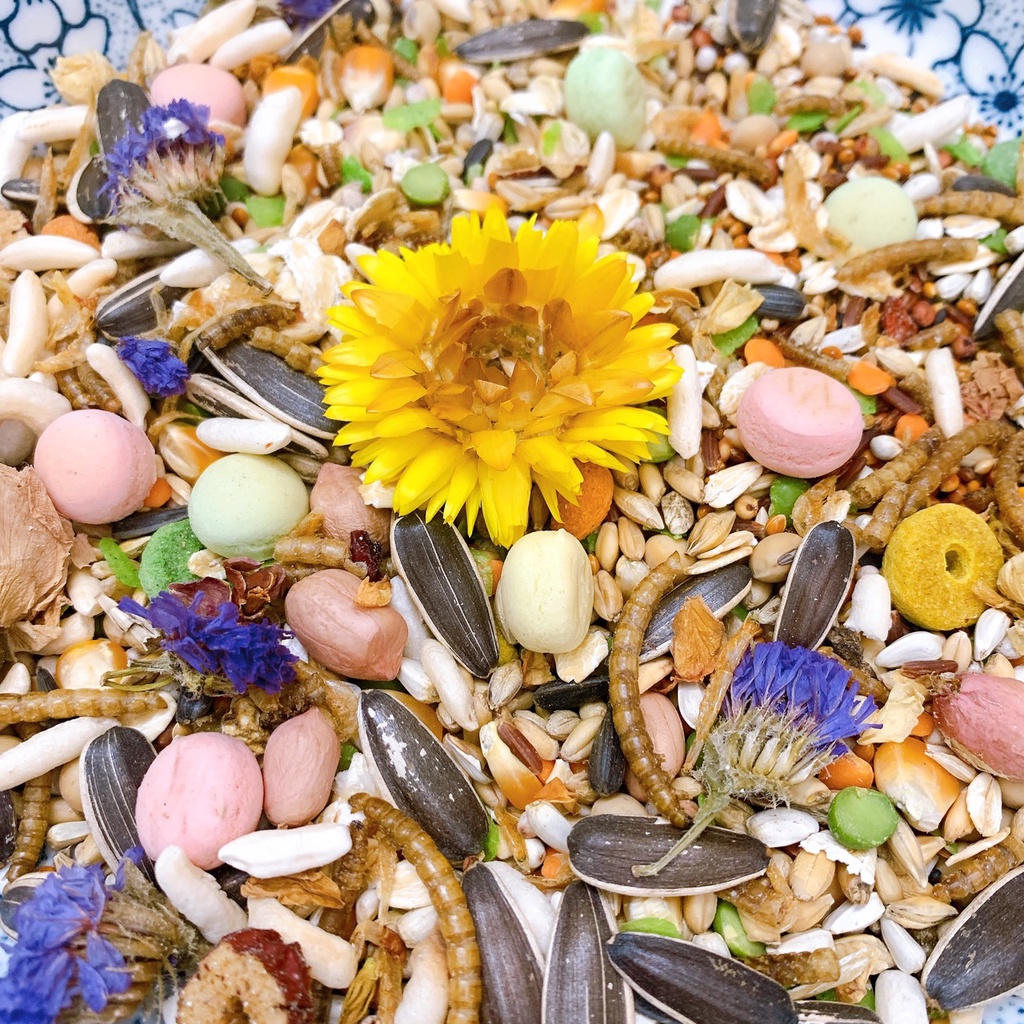 Thức ăn hamster, sóc VIP đặc biệt siêu ngon [200g]