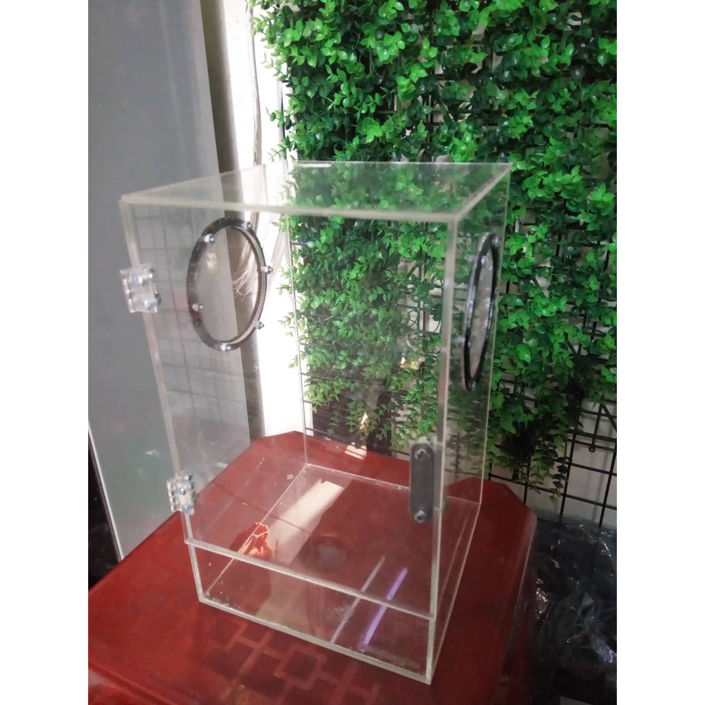 Hộp Nuôi Nhện Cao Cấp 15-15-25 (tank tarantula)