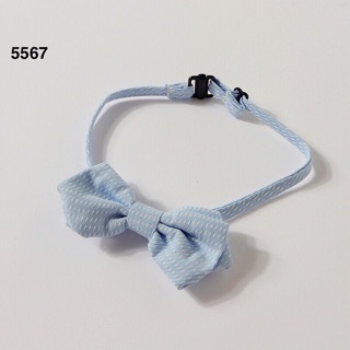 Set Công Tử Kimocat