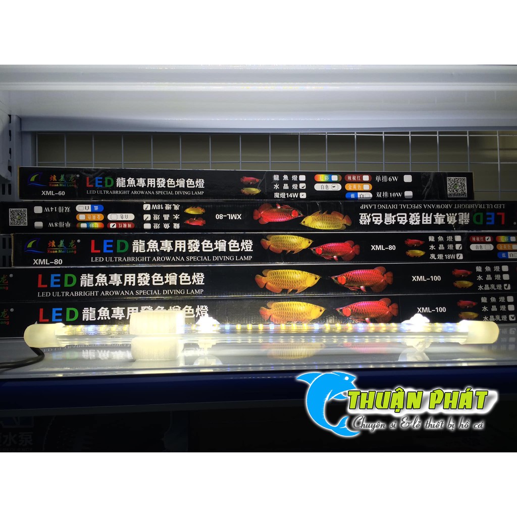 Đèn Hồ Cá XuanMeiLong XML 60 - 2 hàng Led phiên bản thủy tinh Siêu đẹp XML60 cm