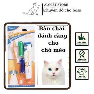 Bộ đánh răng kèm bàn chải cho chó mèo thú cưng-alopetstore
