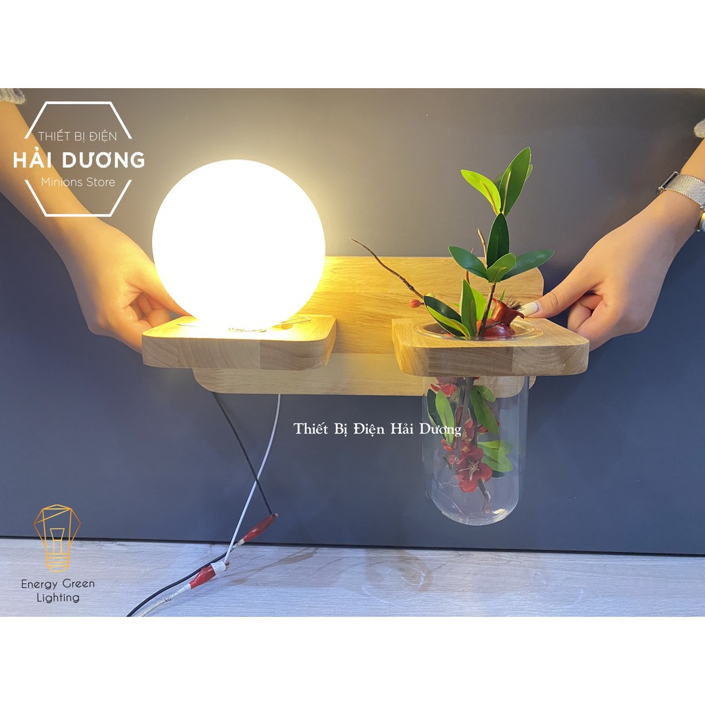 Đèn Tường Kệ Gỗ Chao Thủy Tinh Hiện Đại DT-3019 - Trang Trí Căn Phòng - Energy Green Lighting - Đã Bao Gồm Bóng LED 3W