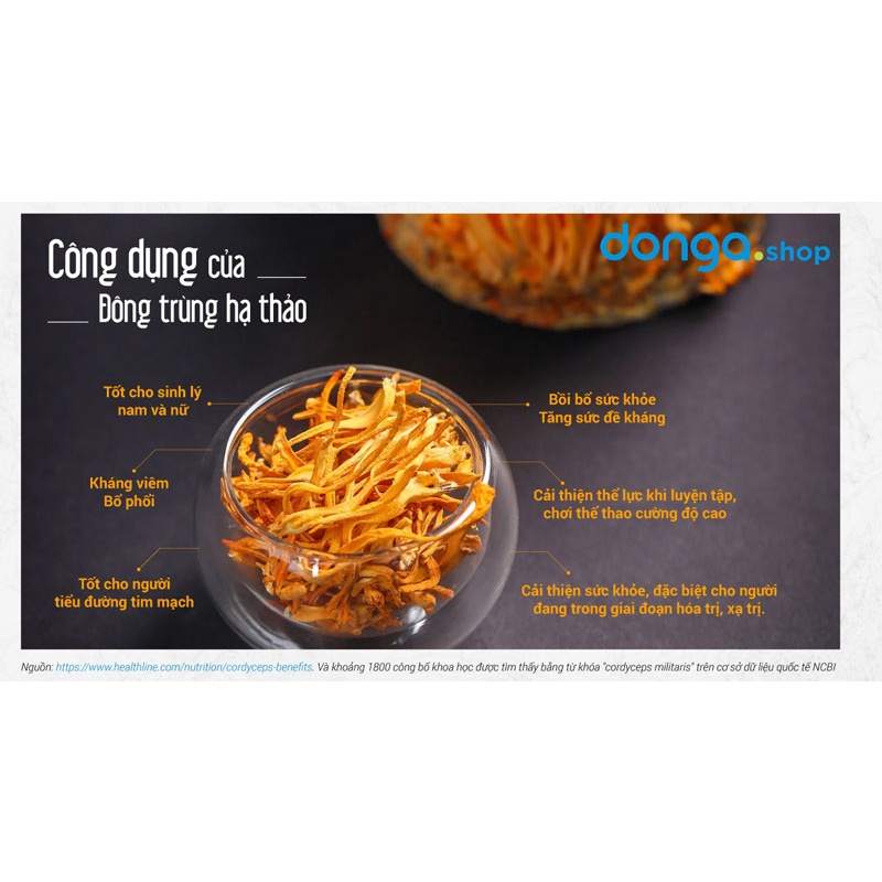 Đông Trùng Hạ Thảo bán tự nhiên Dược Quý Đường- Combo 4 hộp đông trùng sấy khô  20g- Hỗ trợ bồi bổ cơ thể