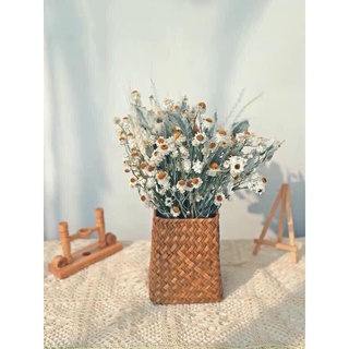 Decor, trang trí nhà cửa, phụ kiện chụp ảnh, Cúc amobium
