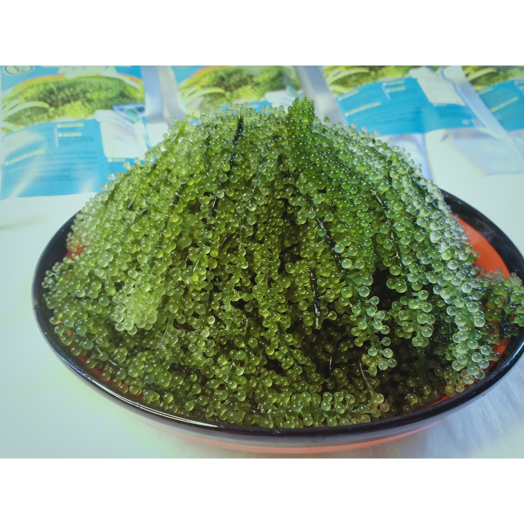Rong Nho Tách Nước Khánh Hòa 50gr = 150gr Rong Tươi 🍀 GIÁ SỐC 🍀 Sản Xuất theo công nghệ Nhật Bản | BigBuy360 - bigbuy360.vn