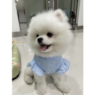 [Có sẵn] Áo kiểu dành cho thú cưng