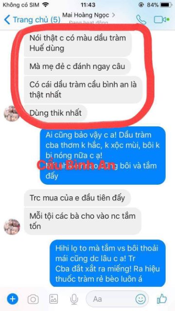 Combo sỉ 5 chai tinh dầu tràm Huế Cầu Bình An