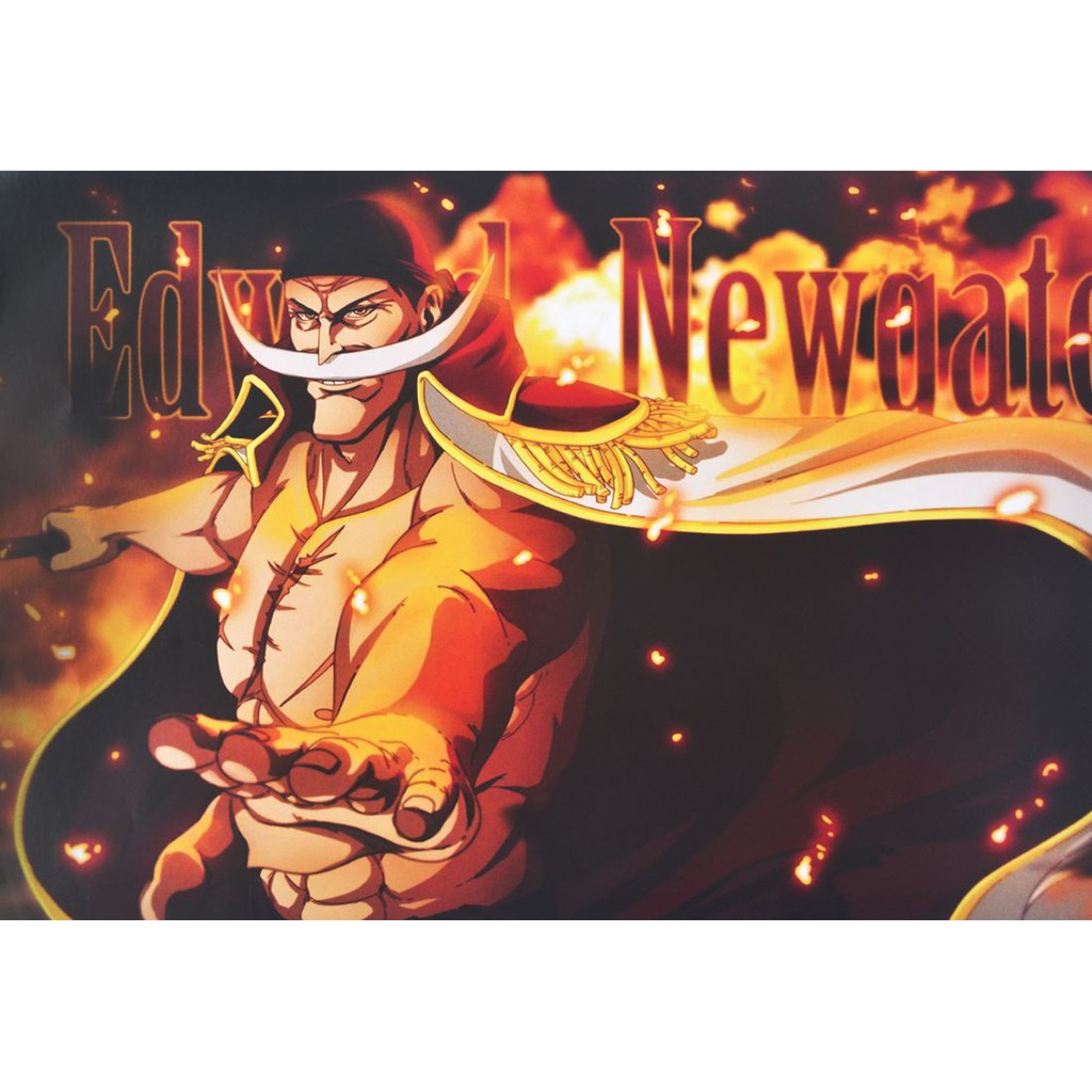 [thanh lý bán lỗ]Bộ 8 tấm poster Anime - One Piece [AAM] [PGN23]