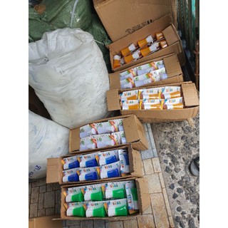 Đèn Ngủ Hình Ly Có Công Tắc Đủ Các Màu